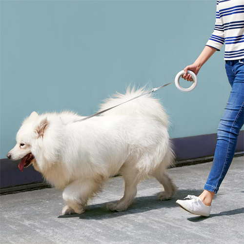 Выдвижной поводок для собак Xiaomi Moestar UFO Retractable Leash 2 белый (MS0030002)