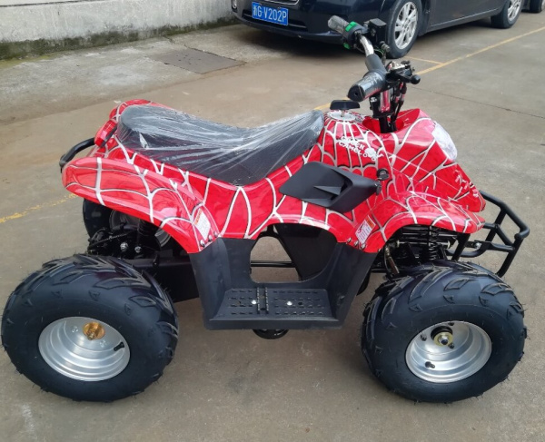 Квадроцикл GreenCamel Gobi K50 (36V 800W R7 Цепной привод) Красный паук