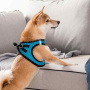 Шлейка для собак Xiaomi Jordan-Judy размер M (270 x 200 мм) PE073-M Blue