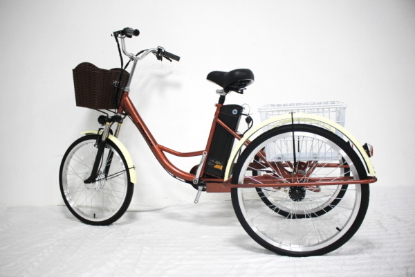 Электровелосипед GreenCamel Трайк-24 (R24 500W 48V 10Ah) (Синий)