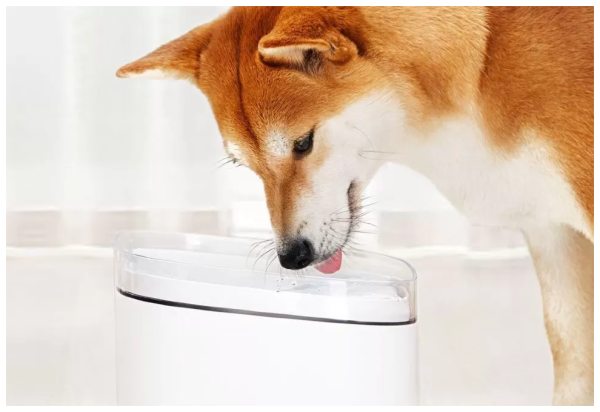 Дозатор воды для животных Xiaomi Mijia Kitten Puppy Pet Water Dispenser