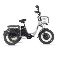 Электровелосипед Eltreco Porter Fat 500 (Серебристый матовый-3206)