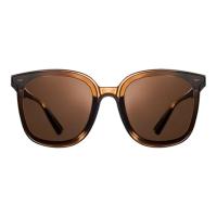 Солнцезащитные очки Xiaomi Mijia Polarized Sunglasses MJTA02LM Amber Brown