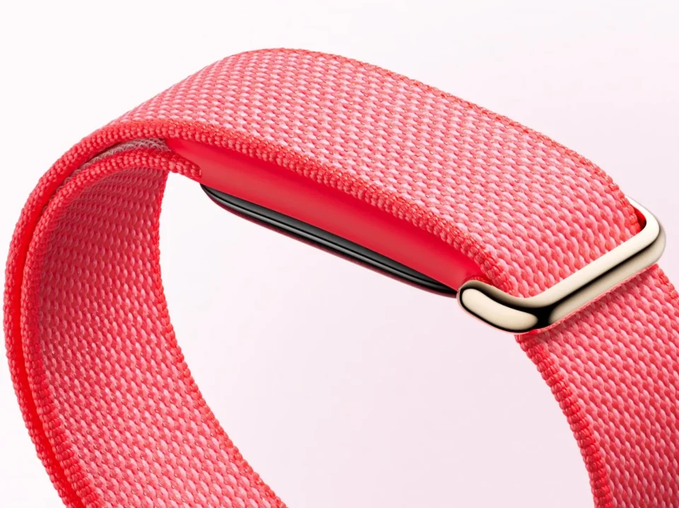Плетение ремешка и застёжка Google Fitbit Air Berry