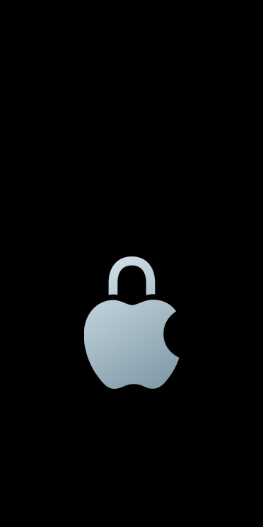 Иллюстрация защиты данных Apple