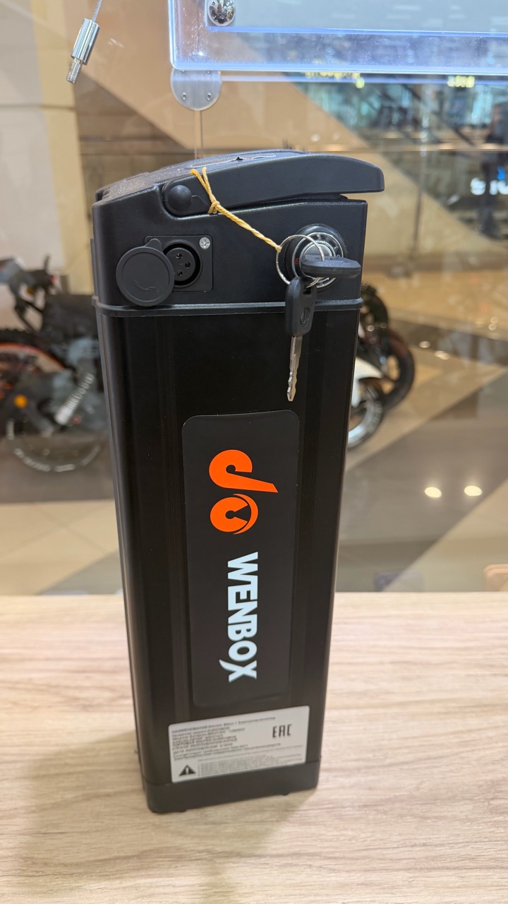 Аккумулятор duWENBOX 60 В 21 А·ч целиком