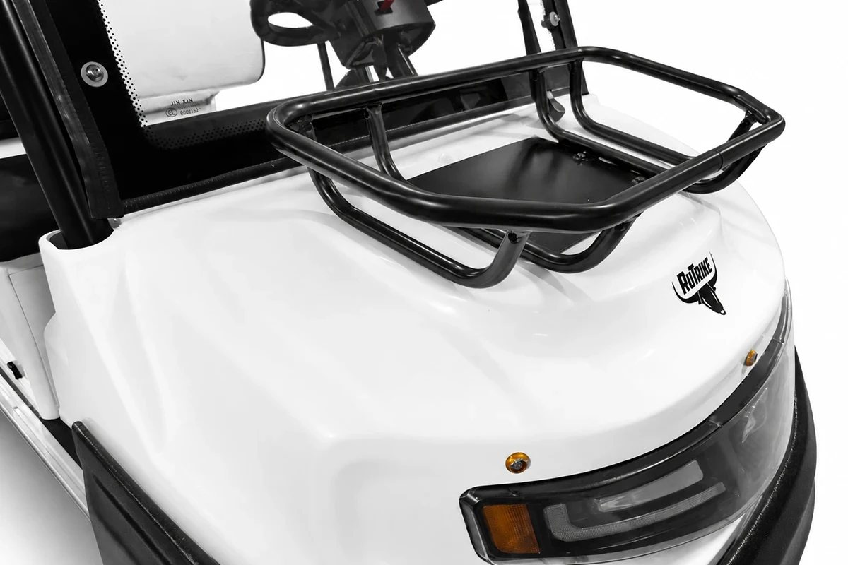 Гольфкар мини Rutrike Venus 60V 1500Вт (Белый-3333), кадр 8