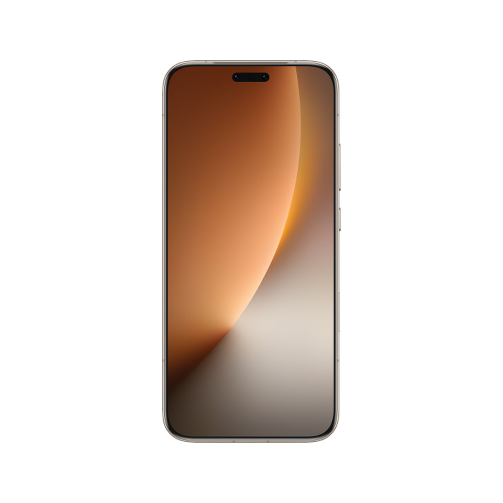 Honor Magic 8 Pro 16/1TB Gold — Экран