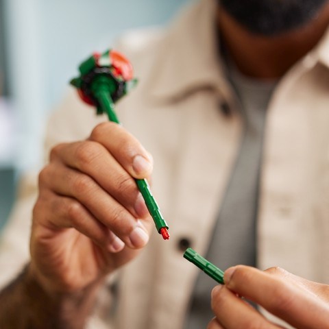 Сборка стебля розы LEGO Botanicals