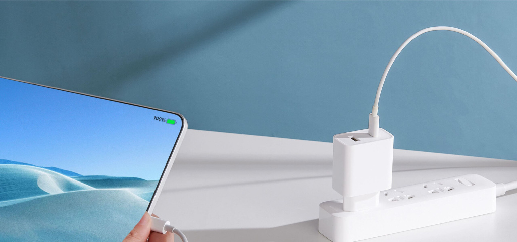 13 Зарядное устройство Mi 33W Wall Charger AD332EU.jpg