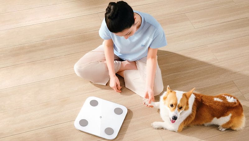 18 Умные весы Xiaomi Mijia Body Fat Scale S400 White (MJTZC01YM).jpg 18 Умные весы Xiaomi Mijia Body Fat Scale S400 White (MJTZC01YM).jpg
