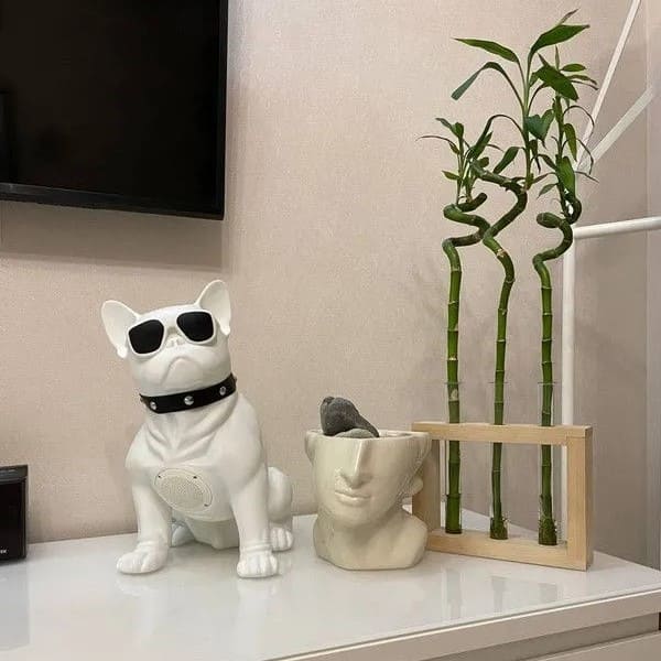 12 Колонка беспроводная Dog-Buldog CH-M11 Черный.jpg 12 Колонка беспроводная Dog-Buldog CH-M11 Черный.jpg