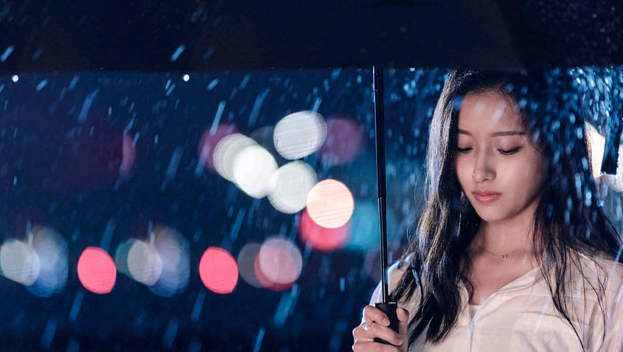 13 Зонт Lofans ZDS1.jpg 13 Зонт Lofans ZDS1.jpg