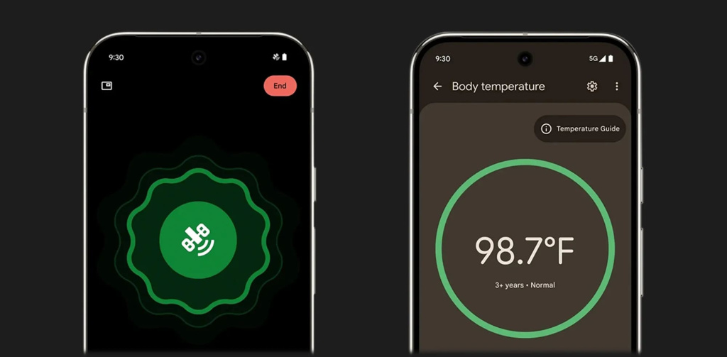 17 Смартфон Google Pixel 9 Pro.jpg