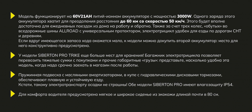12 Электротрицикл Citycoco Siberton PRO TRIKE 3000W 10.jpg 12 Электротрицикл Citycoco Siberton PRO TRIKE 3000W 10.jpg
