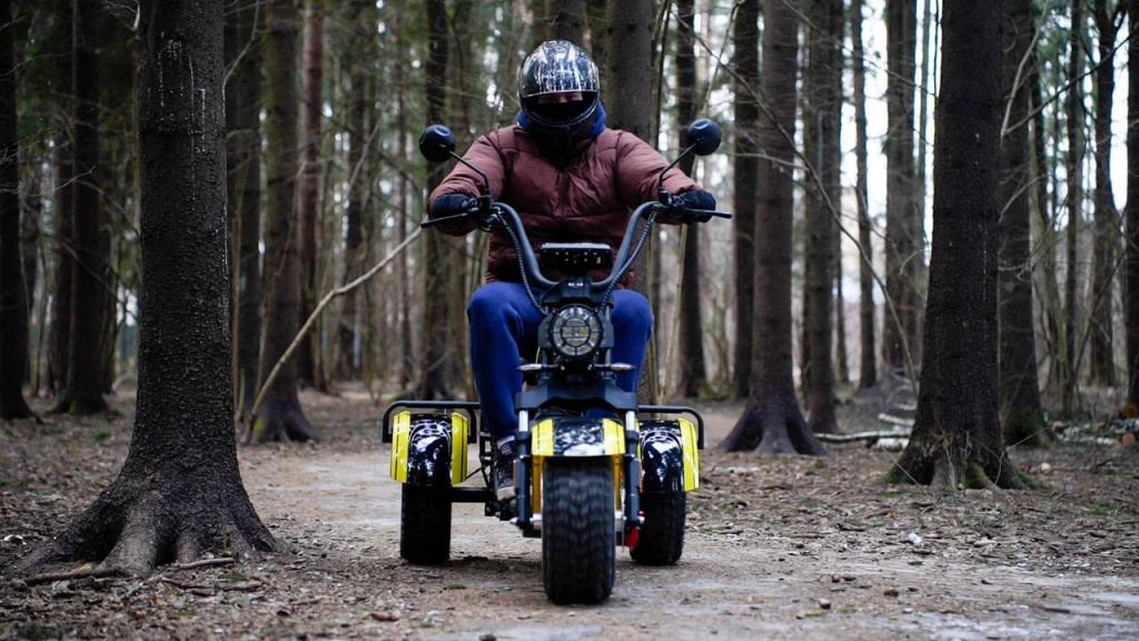 12 Электротрицикл Citycoco Siberton PRO TRIKE Max 3950W 12.jpg