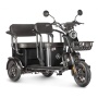 Электротрицикл Wanshida UM+ 60V 1000Вт (Черный-3098)