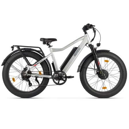 Электровелосипед Eltreco BigCat Dual Next (Серебристый матовый-3179)