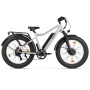 Электровелосипед Eltreco BigCat Dual Next (Серебристый матовый-3179)