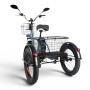 Электровелосипед Eltreco Porter Fat 500 (Серебристый матовый-3206)