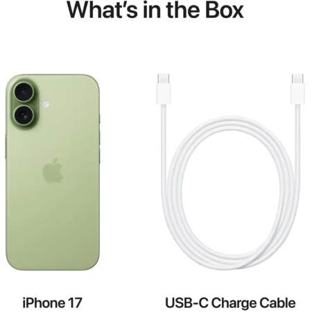 Apple iPhone 17 256GB Sage (MG6N4)