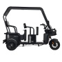Электротрицикл Wanshida NIPLA 570 60V 1000Вт (Черный-3088)