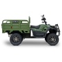 Грузовой электроквадроцикл Rutrike Рейнджер (Зеленый-3232)