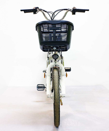 Электровелосипед GreenCamel Транк-20 (R20 350W 48V) Алюм (батарея 10Ah)