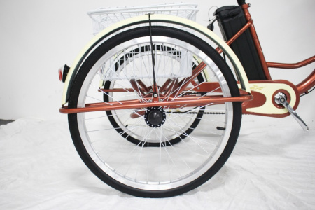 Электровелосипед GreenCamel Трайк-24 (R24 500W 48V 15Ah) (Красный)