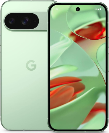 Смартфон Google Pixel 9 12/256GB Wintergreen