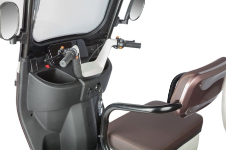Электротрицикл Rutrike Gelbert Sarin 48V/60V 1000Вт (Коричнево-белый-3054)
