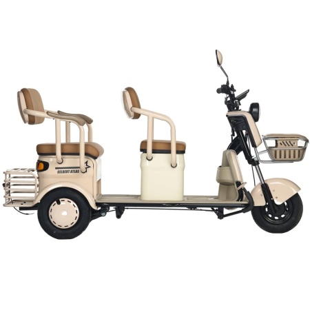Электротрицикл Rutrike Gelbert Atlas 48V/60V 600Вт (Бежевый-3023)