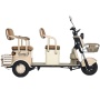 Электротрицикл Rutrike Gelbert Atlas 48V/60V 600Вт (Бежевый-3023)