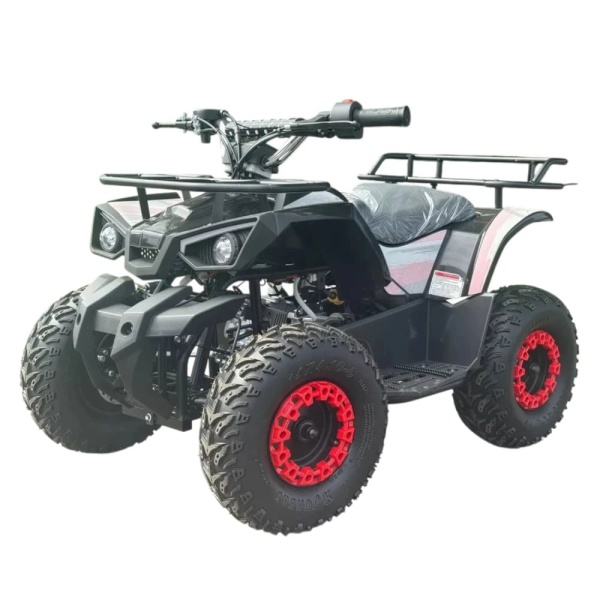 Бензиновый квадроцикл Ikingi K6 50CC (детский)
