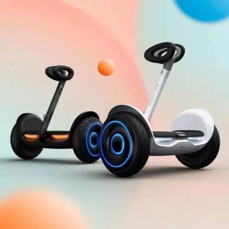 Сигвей Segway Ninebot L6 Black
