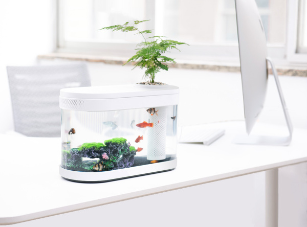 Аква-ферма Xiaomi Lucky Amphibious