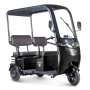 Электротрицикл Rutrike Gelbert Bos 48V/60V 800Вт (Черный-3033)