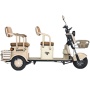 Электротрицикл Rutrike Атлас (Бежевый-3255)