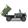 Грузовой электроквадроцикл Rutrike Рейнджер (Зеленый-3232)