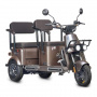 Электротрицикл Wanshida U1-X 60V 800Вт (Коричневый-3093)
