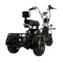 Электротрицикл Ikingi X1 PRO Trike