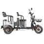 Электротрицикл Wanshida UM+ 60V 1000Вт (Серый-3100)
