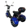 Электротрицикл Ikingi X12 Pro Trike (M12 Pro Trike) (Синий)