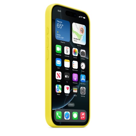 Чехол Silicone Case MagSafe Iphone 16 Pro Star Fruit