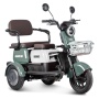 Электротрицикл Rutrike Gelbert Sun 48V/60V 650Вт (Зелено-белый-3057)