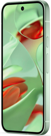 Смартфон Google Pixel 9 12/256GB Wintergreen