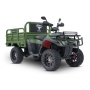 Грузовой электроквадроцикл Rutrike Рейнджер (Зеленый-3232)