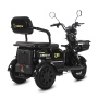 Электротрицикл Siberton Sibtrike S1