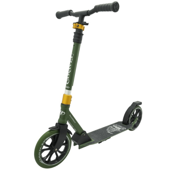 Самокат Tech Team Caravel 230 2020 Green
