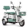 Электротрицикл Rutrike Gelbert Mercury 48V/60V 650Вт (Зеленый-3049)
